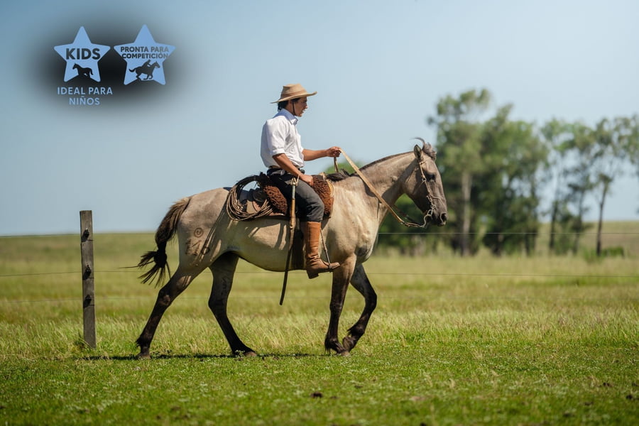Lote CUMBIA LOS CERROS