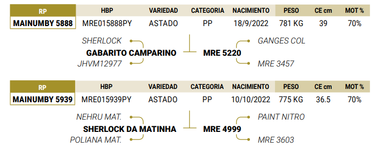Lote LOTE 20
