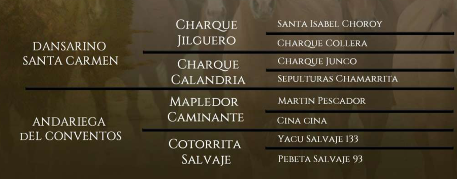 Lote Fugitiva del Conventos