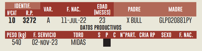Imagen 2 del Lote Lote LOTE 11