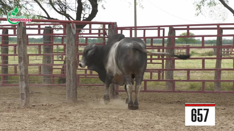 Lote Brahman