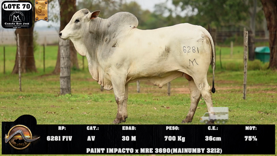 Lote LOTE 70