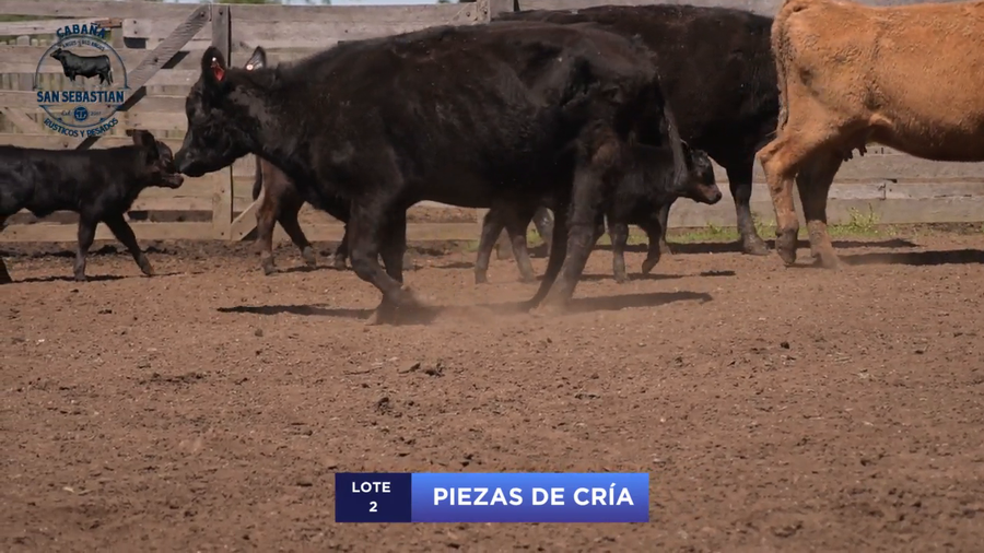 Lote Lote 2 - San Sebastian