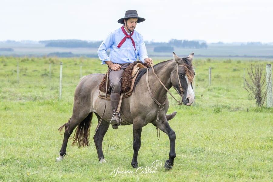 Lote Maleva De Los Recuerdos