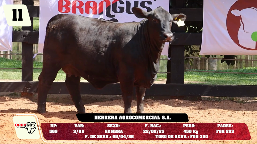 Lote LOTE 11 - DE CAMPO