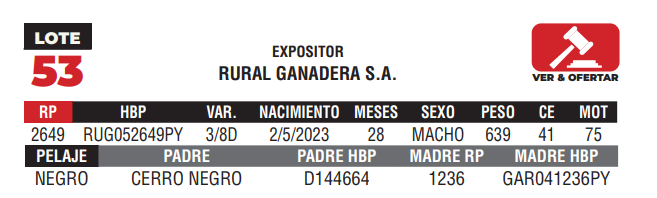 Lote LOTE 53 - CAMPO
