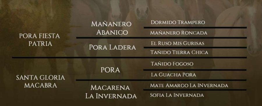 Lote Santa Gloria Brujeria