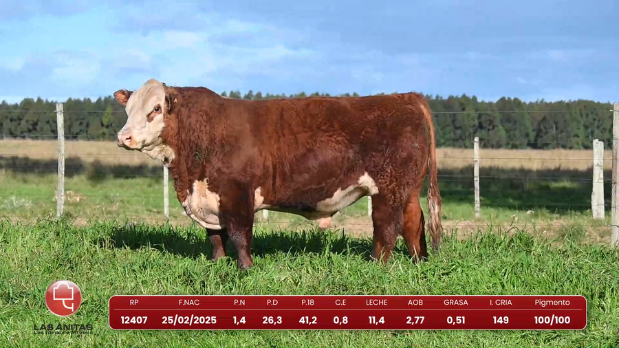 Lote Lote 27