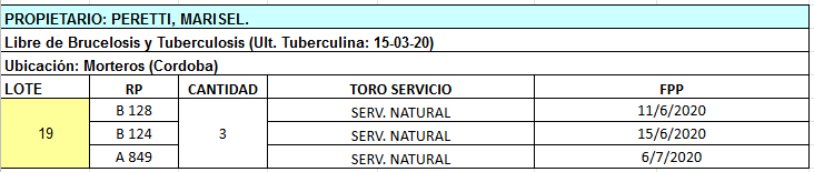 Lote 3 Vaquillonas en Morteros, Córdoba