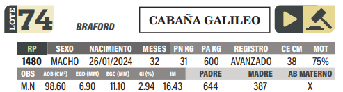 Lote LOTE 74