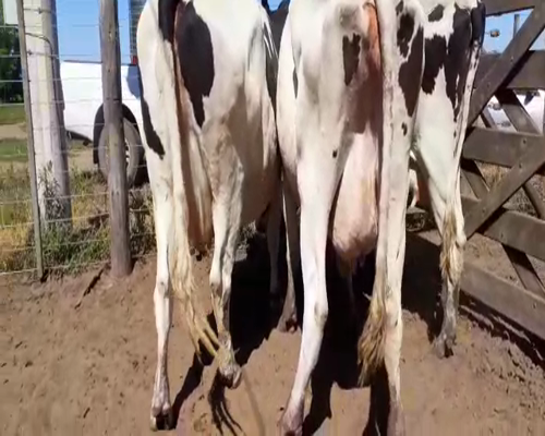 Lote Bossarelli Hermanos