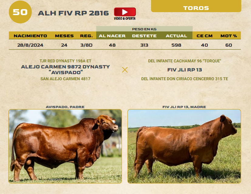 Lote LOTE 50