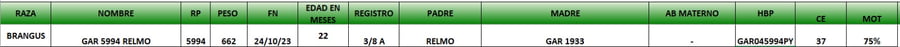 Lote LOTE 36