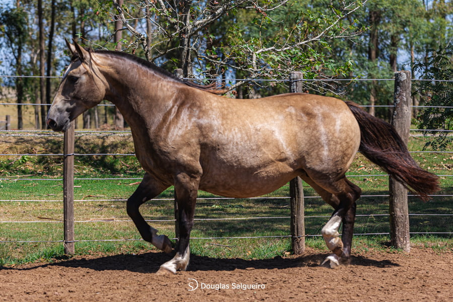Lote HORA CIERTA DE LA COLNA