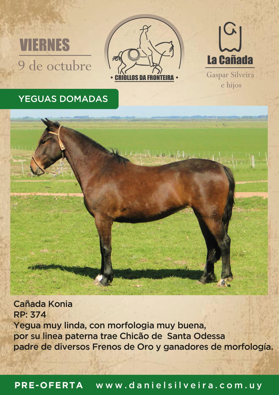 Lote Criollos da Fronteira Cañada Konia   RP: 374
