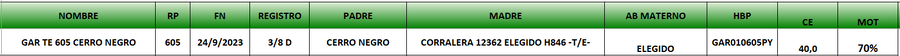 Lote LOTE 23