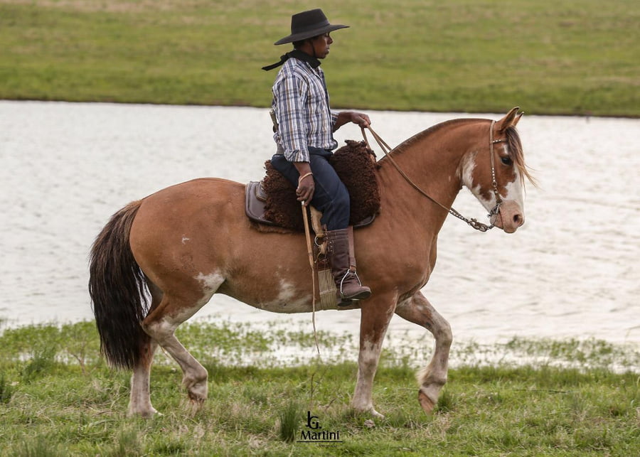 Lote Tarumán Caraguatá