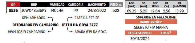 Lote LOTE 77