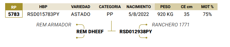 Lote LOTE 13