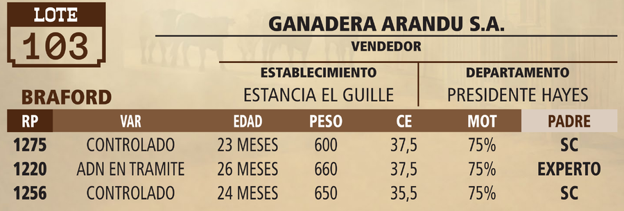 Lote LOTE 103 - VIVO