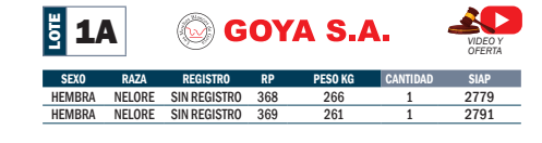 Lote LOTE 1A- POR PANTALLA