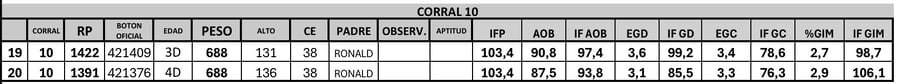 Lote 2 Toros PC
