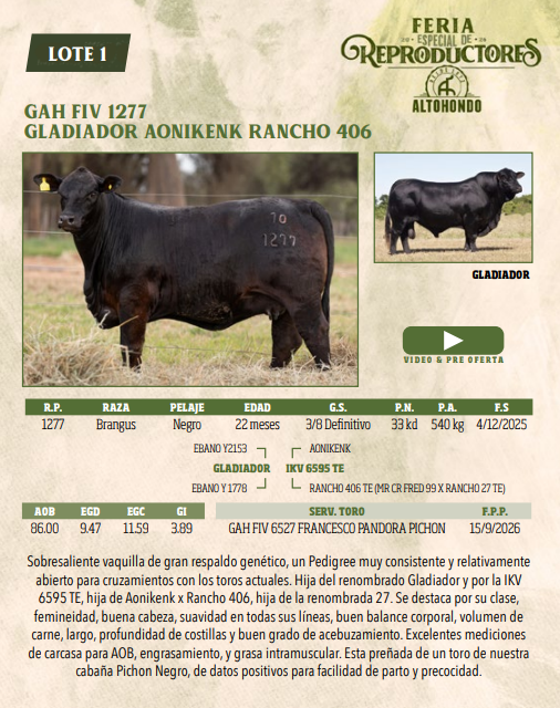 Lote LOTE 1