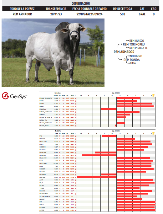 Lote LOTE 46