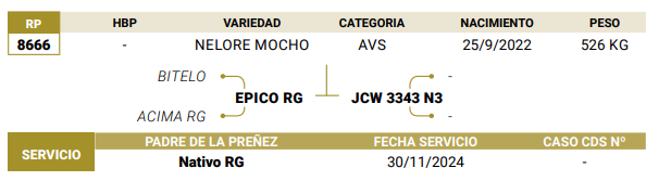 Lote LOTE 54