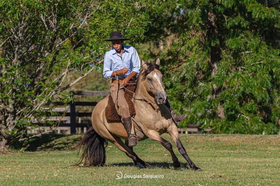 Lote LA SERENA COLINA BLANCA