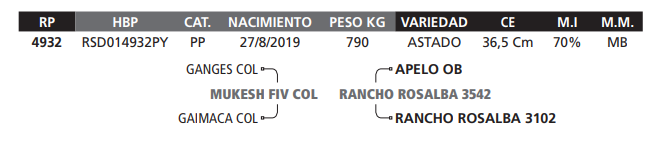 Lote LOTE 55