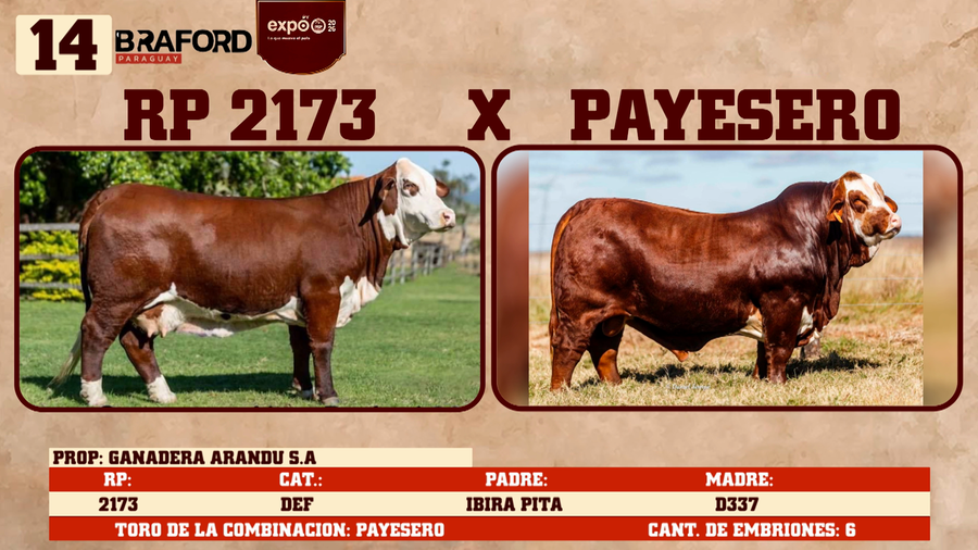 Lote LOTE 14