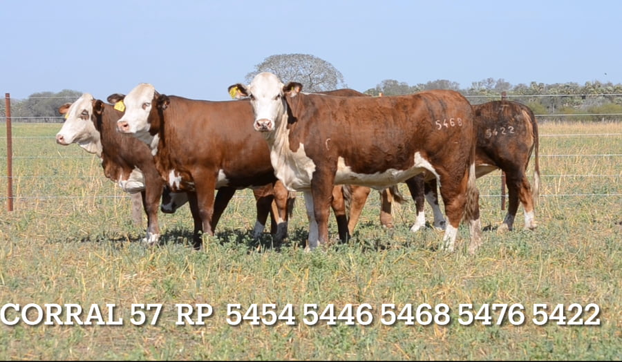 Lote CORRAL 57- CABAÑA LAS MERCEDES