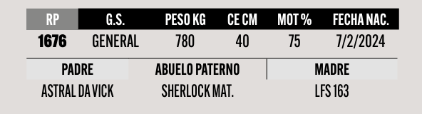 Lote LOTE 49