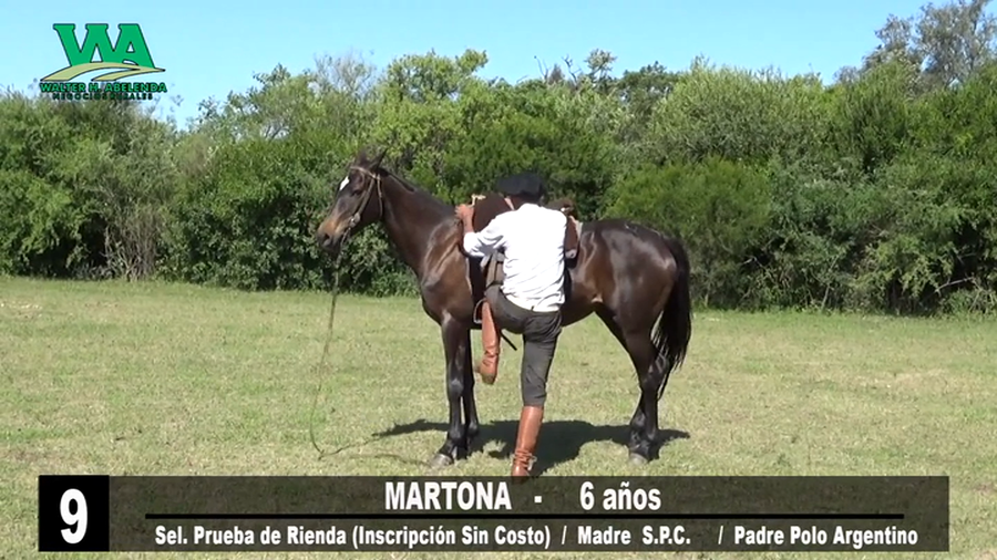 Lote MARTONA