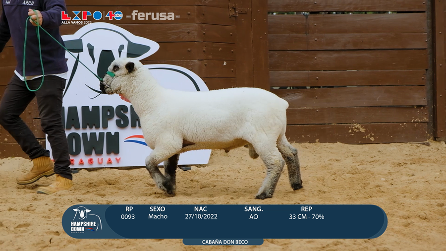 Lote LOTE 31 - BOZAL