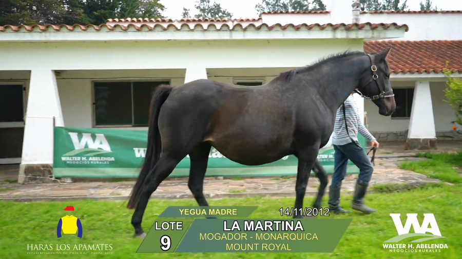 Lote LA MARTINA