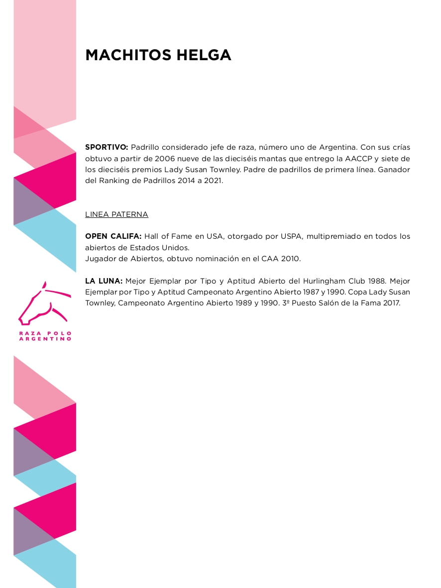 Lote MACHITOS HELGA (MACHITOS CALIFITA CLON 1 - MACHITOS HI FIVE)