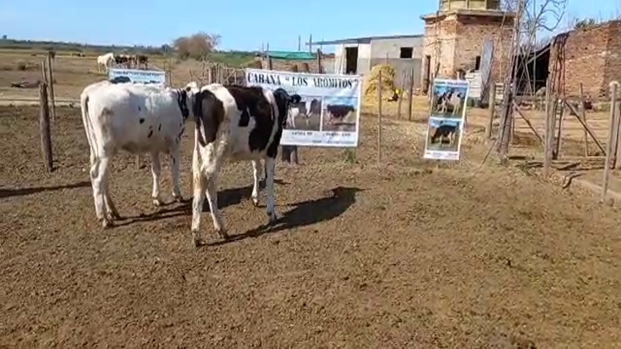 Lote Cabaña Los Aromitos