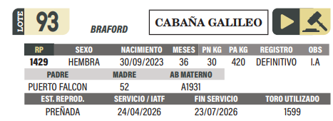 Lote LOTE 93