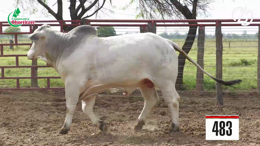 Lote Brahman
