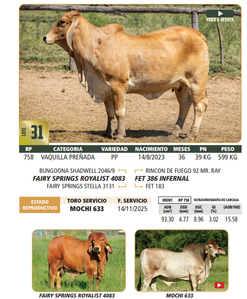 Lote LOTE 31