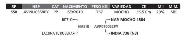 Lote LOTE 67