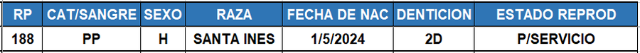 Lote LOTE 47