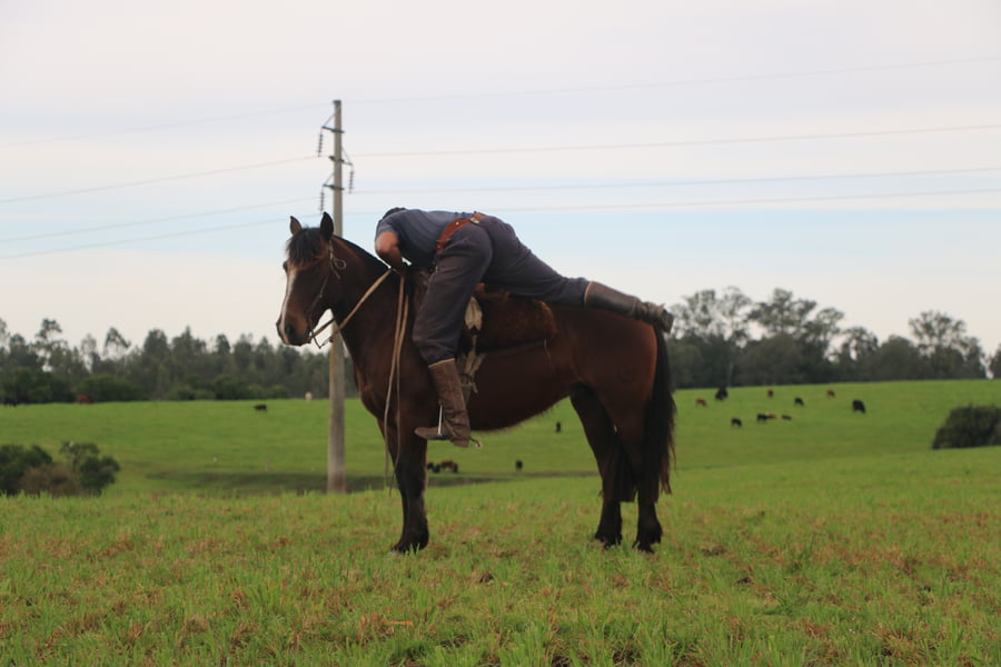 Lote SANTA GLORIA PATRIADA