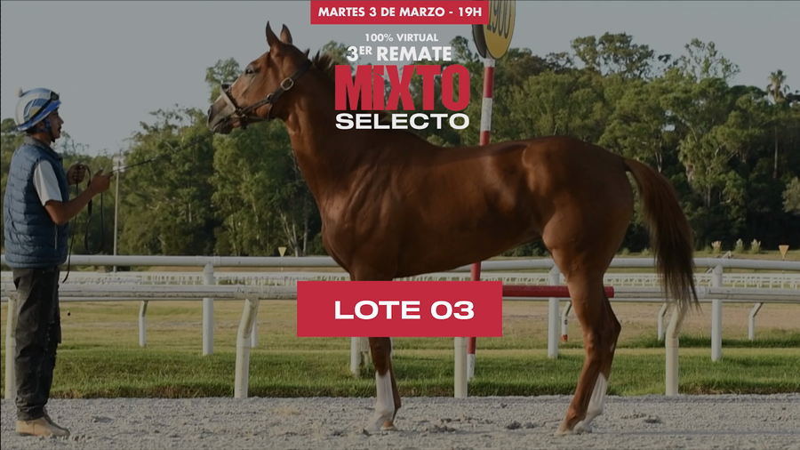 Lote NUCLEAR RUSH (BRZ)