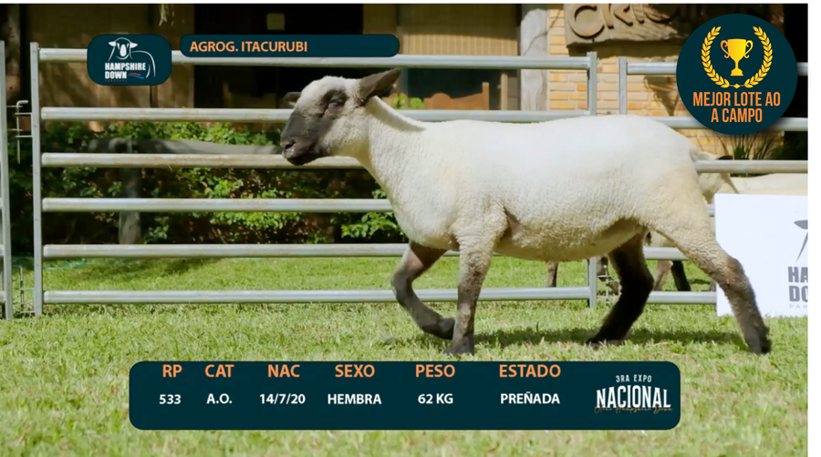 Lote LOTE 1-  AGROG. ITACURUBI - RP 533