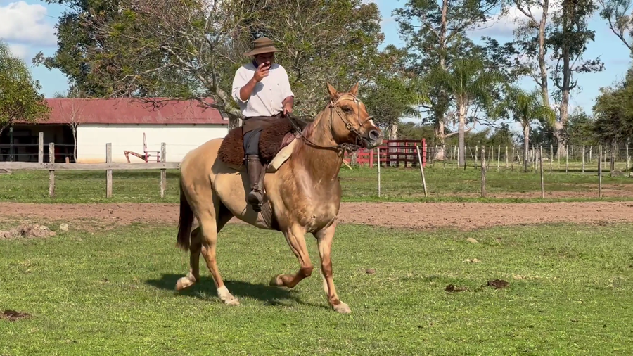 Lote 1 Montados en Corrientes, Curuzu Cuatia