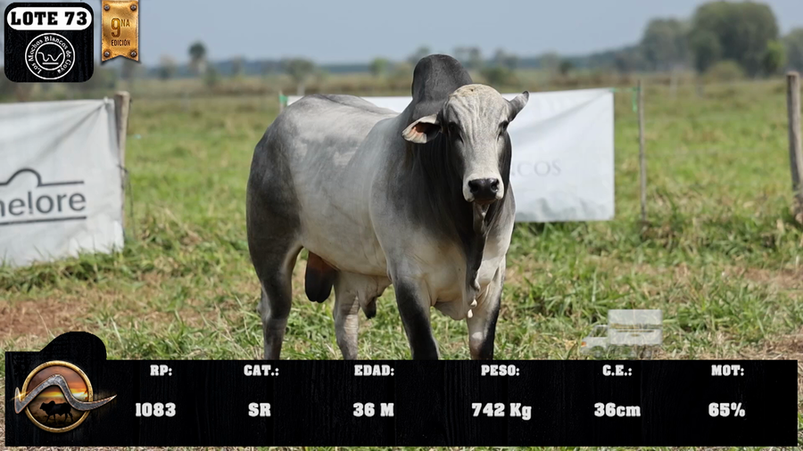 Lote LOTE 73