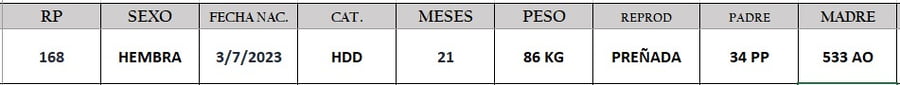 Lote LOTE 3